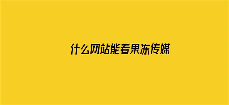 >什么网站能看果冻传媒视频横幅海报图