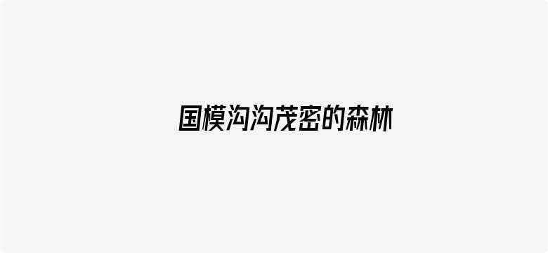 >国模沟沟茂密的森林横幅海报图