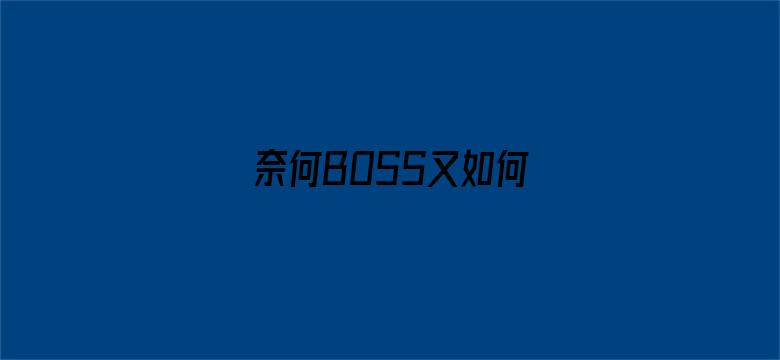 奈何BOSS又如何