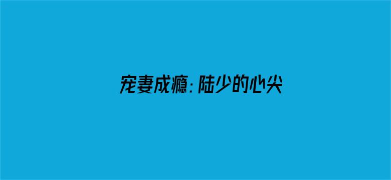 宠妻成瘾：陆少的心尖宠第二季