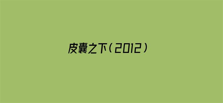 皮囊之下（2012）