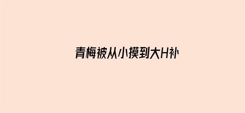 >青梅被从小摸到大H补课横幅海报图